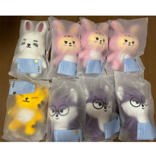 [KADD] Seventeen - Miniteen2 (Offline, Member Specific)