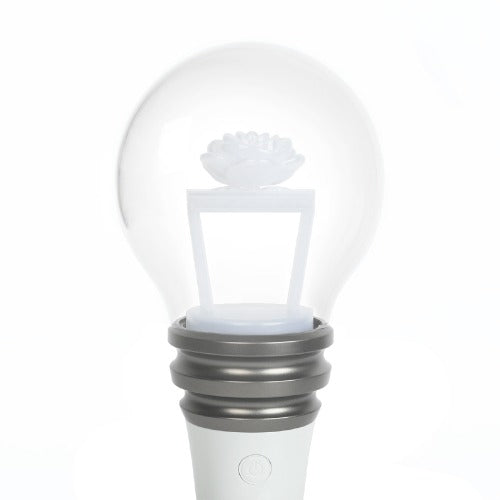 [Ongoing Orders]  Highlight - Lightstick